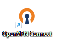 Start de OpenVPN Client