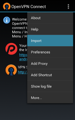 Import the ovpn file (1)