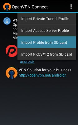 Import the ovpn file (2)