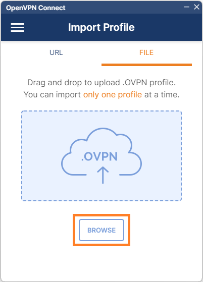 Import the configuration-file into the OpenVPN Client